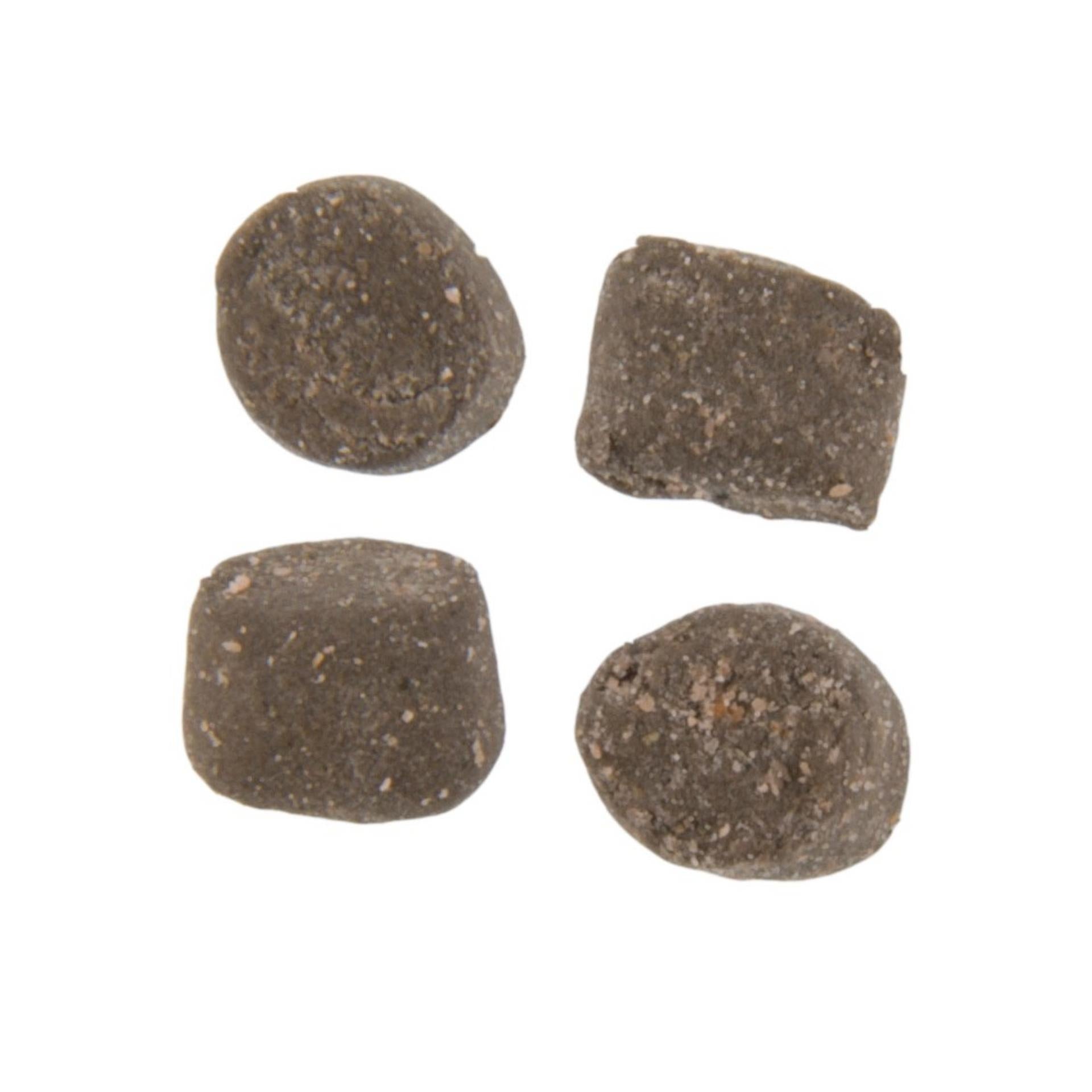 PowerBait® Trout Nuggets - Berkley