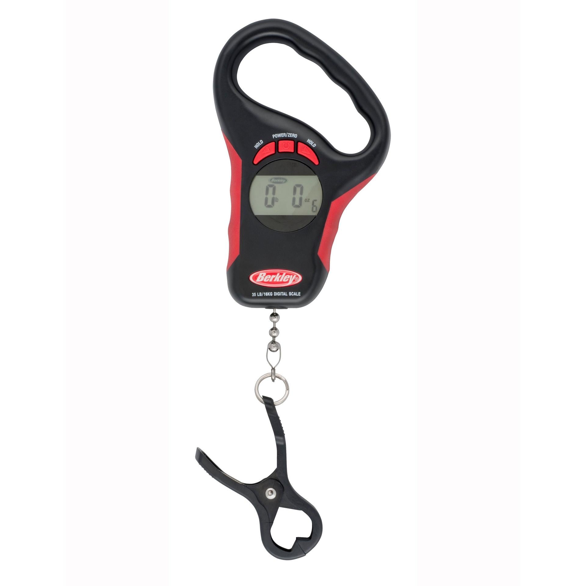 Precision Digital Scale - Berkley
