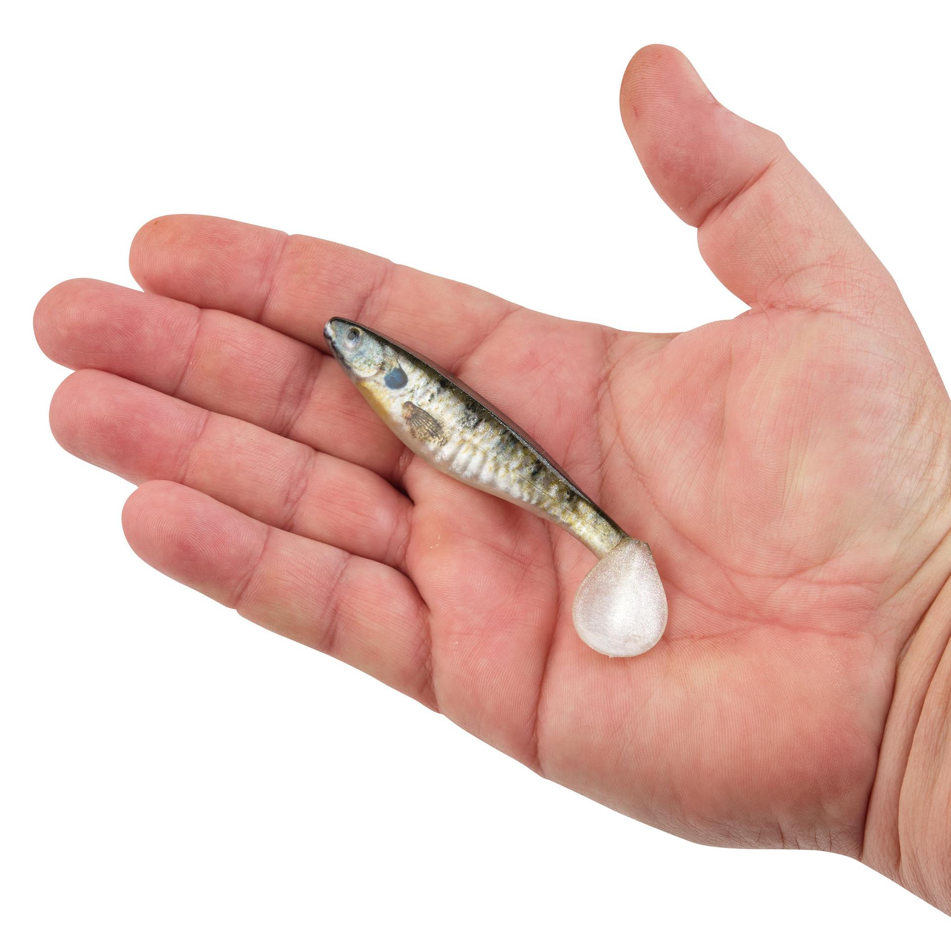 PowerBait® The Champ Swimmer - Berkley