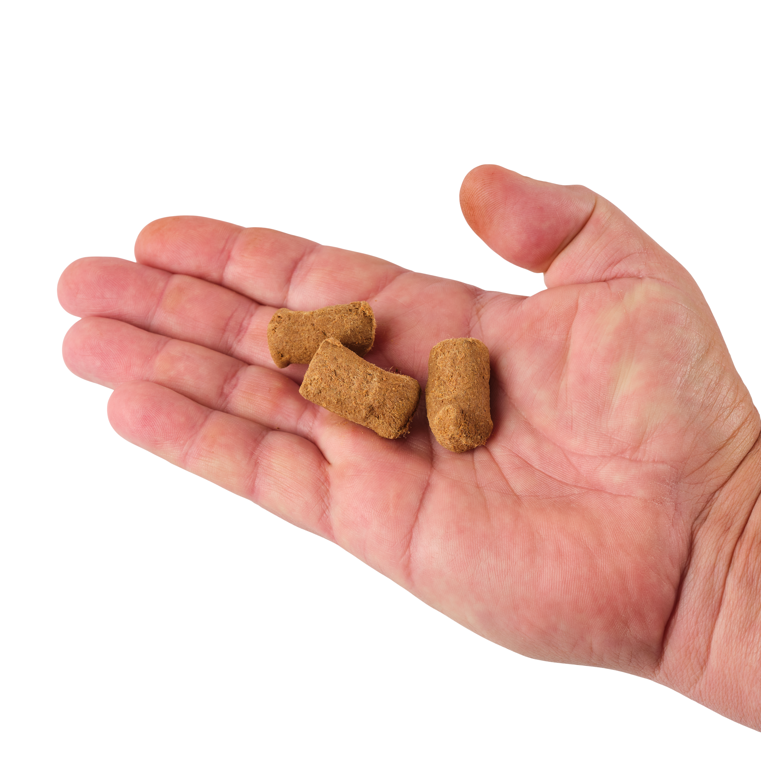 PowerBait® Catfish Bait Chunks - Berkley