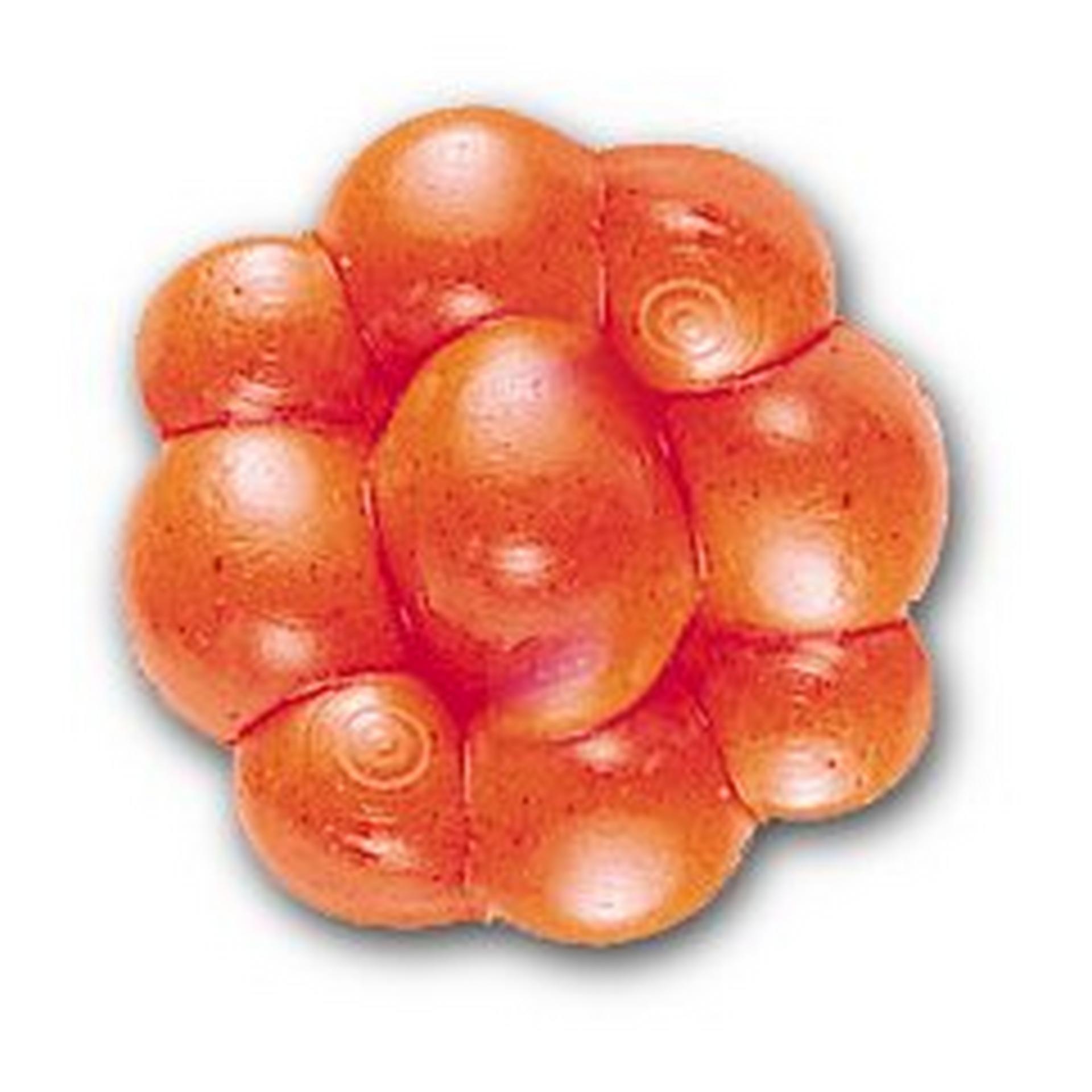 PowerBait® Trout/Steelhead Egg Clusters - Berkley