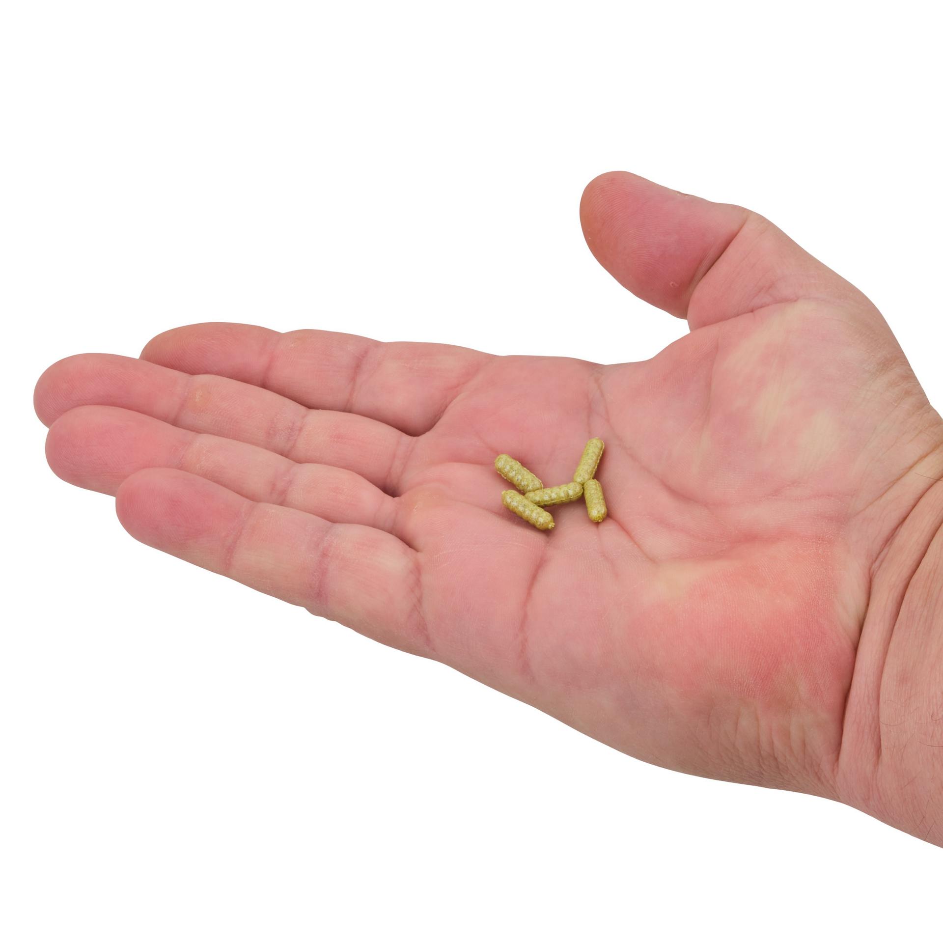 PowerBait® Power Wigglers® - Berkley
