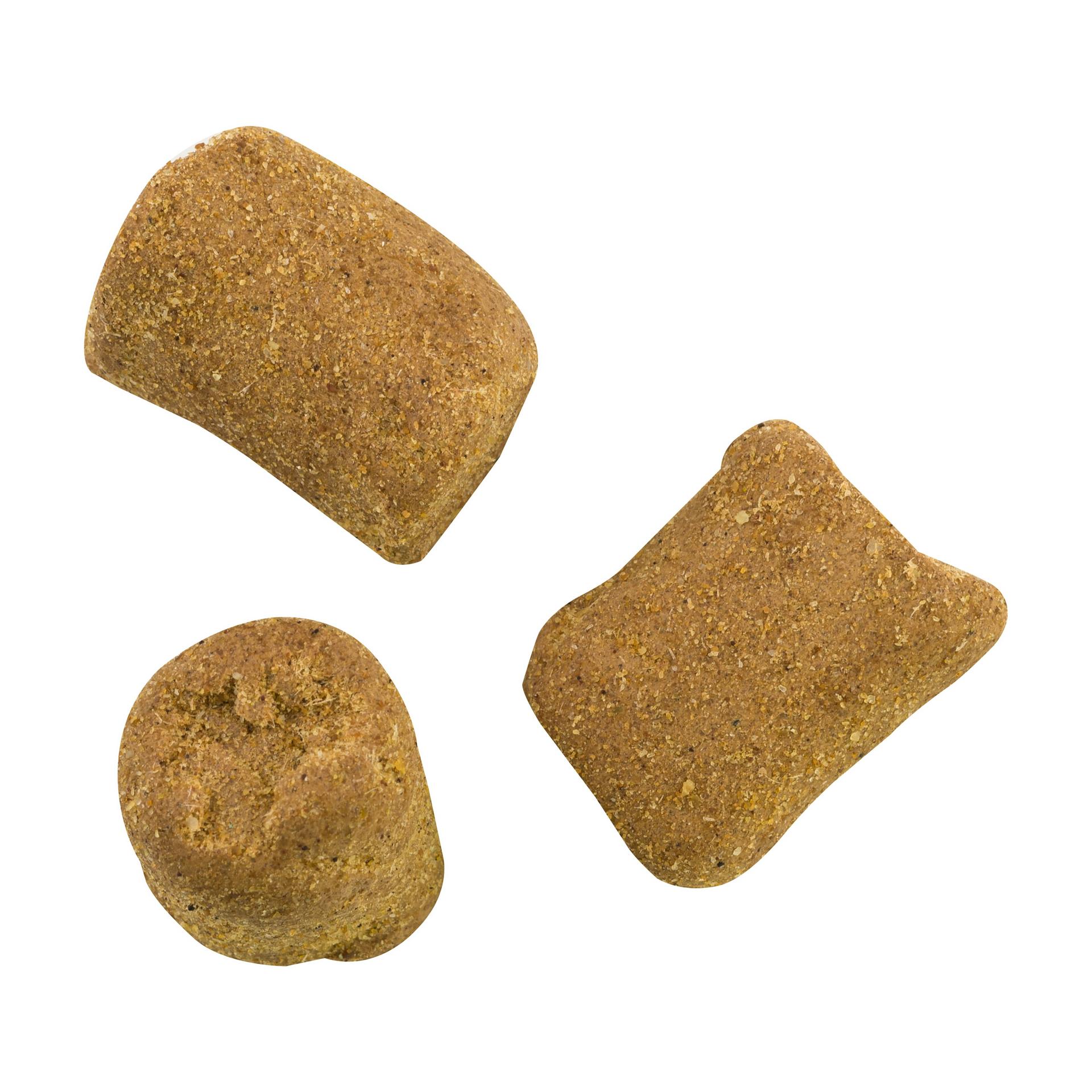 PowerBait® Catfish Bait Chunks - Berkley
