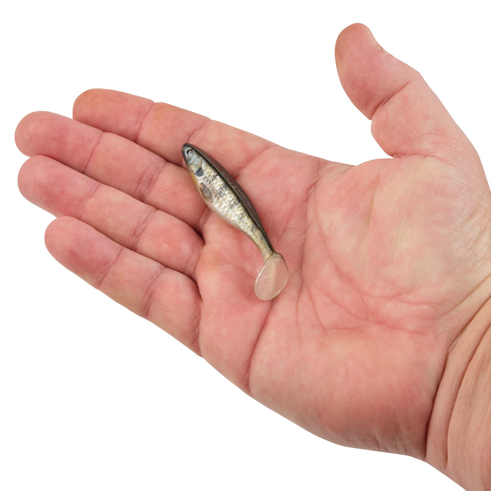 PowerBait® The Champ Swimmer - Berkley